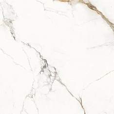 Provenza Unique Marble Paonazzetto Lappato 120x120 / Провенца Унике Марбл Паонаццетто Лаппато 120x120 